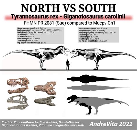 tyrannosaurus rexspecimen sue  giganotosaurustype specimen