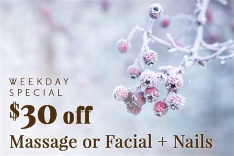truce spa february weekday special  bellevue collection