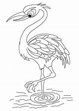 Crane Crowned Red Clipart Coloring Clipground sketch template