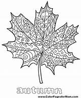 Coloring Leaves Fall Pages Thanksgiving Jungle Drawing Tree Leaf Palm Printable Kids Color Clip Adult Mandala Sheets Coloriage Adults Judy sketch template