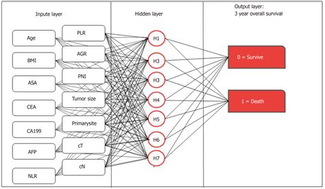 application of preoperative artificial neural network