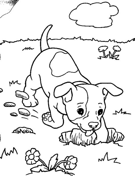 coloring pages  puppies coloring pages  print