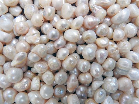 freshwater pearls  evaluation tps blog