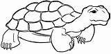 Tortoise Turtle Coloring Quiet Wecoloringpage sketch template