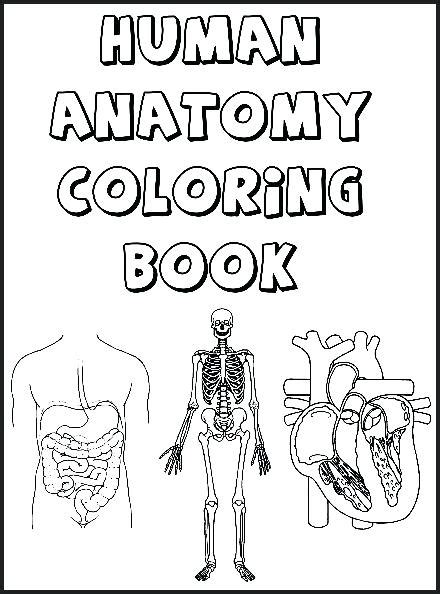 printable human anatomy coloring pages  getdrawings