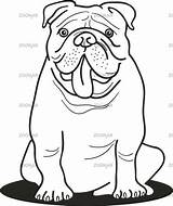 Bulldog Coloring Pages English Drawing Camera Adult Line Sheets Easy Kids Dog Georgia Printable Drawings Colouring Book Cctv Outline Puppy sketch template