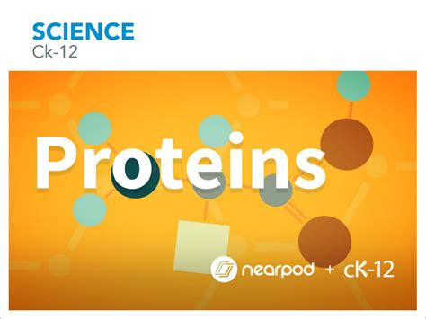 proteins