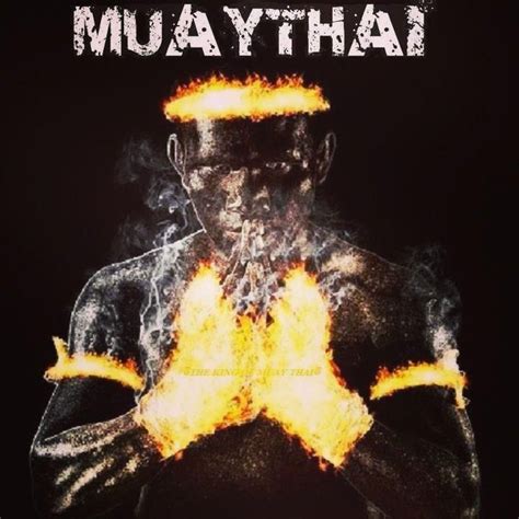 1000 images about just simply muay thai on pinterest