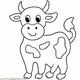 Cow Coloring Pages Cute Cows Little Drawing Animals Simple Longhorn Color Outline Printable Animal Farm Print Head Colouring Baby Drawings sketch template