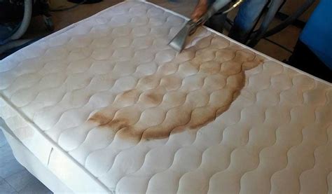 mattress cleaning    mattress cleaning burlington