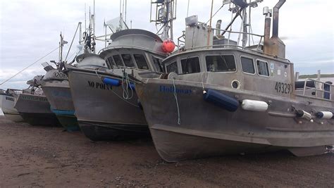 northwest fishing fleet renews fight  proposed   alaskas bristol bay knba