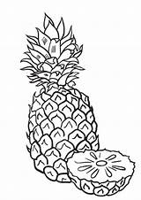 Pineapples Whitesbelfast sketch template