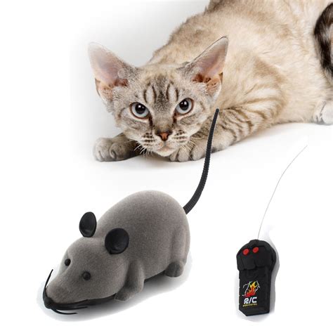 buy  cat toy wireless remote control mouse