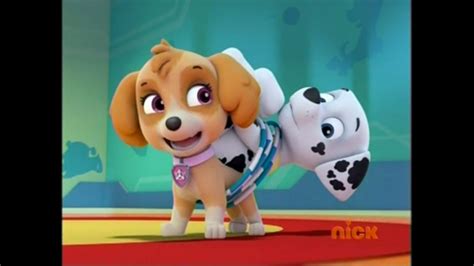 paw patrol images skye the cockapoo hd wallpaper and background photos