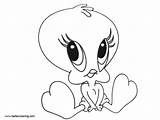 Tweety Bird Pages Coloring Sadly Adults Kids Printable sketch template