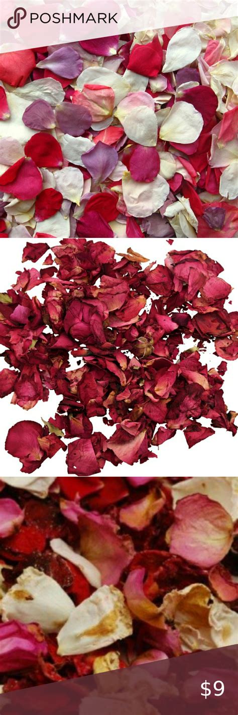 dried rose petals  valentine favorite dried rose petals rose