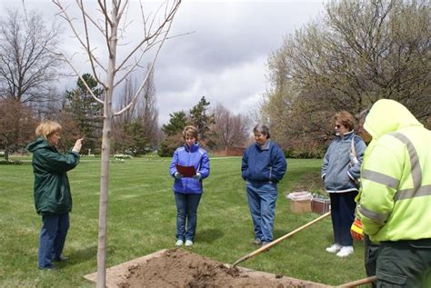 City Of Stow Celebrates Arbor Day Stow Oh Patch