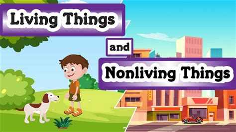 living  nonliving   kids difference  living