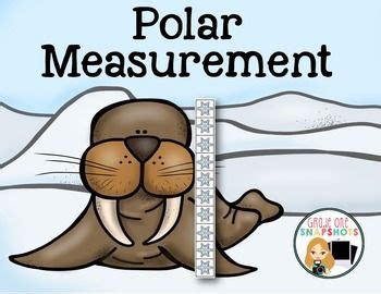 measurement center polar theme  images antarctic animals