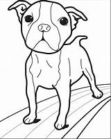 Coloring Dog Small Printable Click sketch template