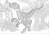 Dino Dinosaurios Dinosaurier Erwachsene Dinosaurs Malbuch Ausmalbilder Velociraptor Malvorlagen Justcolor Zentangle Kinder Kinderbilder Colouring Just Künstler sketch template