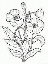 Flowers Coloring sketch template