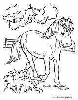 Horses Coloriages Cheval Gulli Chevaux Caballos Dibujos Colorear Malvorlagen Thomas Eule sketch template