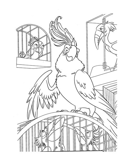 difficult animals coloring pages  grown ups ew