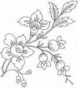 Bunga Mewarnai Melati Mawar Matahari Tulip Simak sketch template