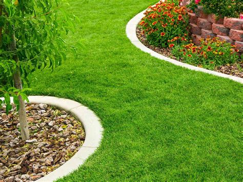 edge  lawn  guide  perfect lawn edges garden yard