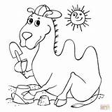 Camel Coloring Pages Funny Printable Bactrian Color Camels Version Drawing Click Online Hump Two Supercoloring Categories Print sketch template