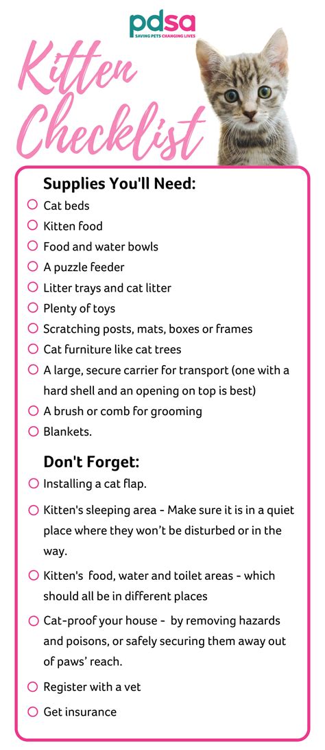 pdsa  kitten checklist kitten checklist   kitten kitten