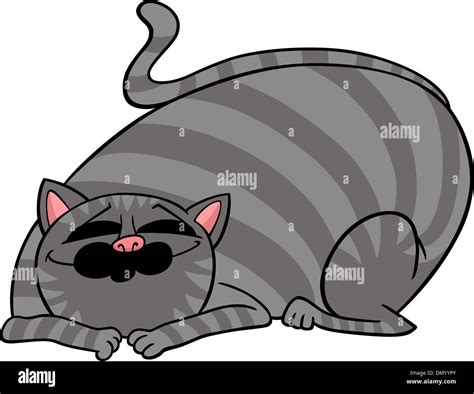 fat tabby cat stock vector images alamy