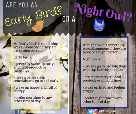 Expressions Early Bird Night Owl Are You An Early Bird Or A Night