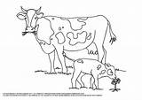 Cow Coloring Printable Pdf Pages Baby Colour Cows Color Sheets Choose Board Cute sketch template