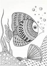 Zentangle Patterns Fish Pattern Choose Board Taught Enabled Attendants Class First sketch template
