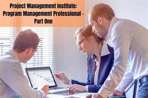 project management program management professional part  skill