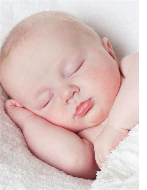 picture photographydownload portrait gallery sleeping baby