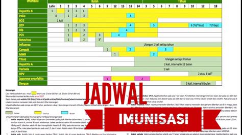 jadwal imunisasi    terbaru youtube