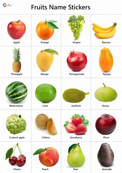list  fruits list   popular fruit names  fruits