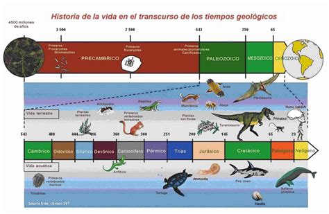 Antropología Cultural Las Teorias De La Evolucion Y La Evolucion Del