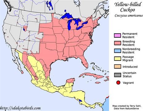 yellow billed cuckoo species range map
