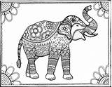 Elephant Adults African Couloring Source sketch template
