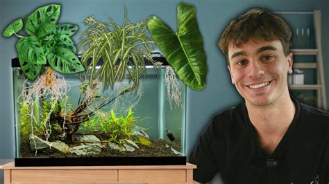 easy house plants filter  aquarium youtube