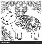 Hippo sketch template