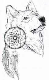 Dream Drawings Wolf Catcher Drawing Tattoo Animal Dreamcatcher Coloring Wolves Catchers Pages Sketch Pencil Tattoos Outline Sketches Draw Native American sketch template