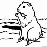 Groundhog Marmotte Marmot Hog Coloring4free Marmota Montagne Rigolote Laguerche Colorear Cliparting 1140 Wikiclipart Clipground sketch template