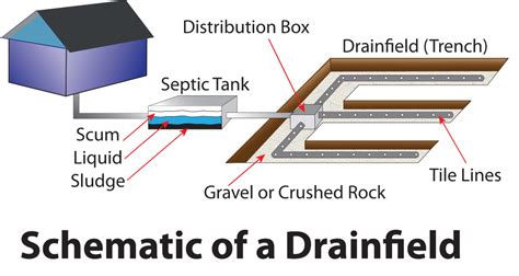 schematic  septic system superior sanitation