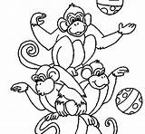 Monkeys Coloring Juggling Circus Colorear Para Coloringcrew Circo Con El Gif sketch template