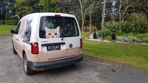 kitty kab pick  delivery service cooinda cat resort